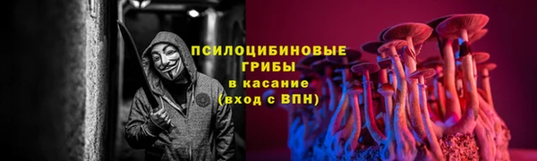 эйфоретик Вязники